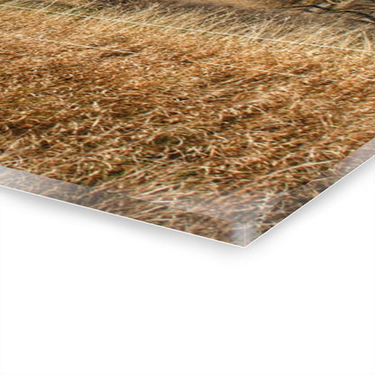 U R There Photography Dodge Road Hay Barn I Rustic Farmhouse Acrylic Wall Print