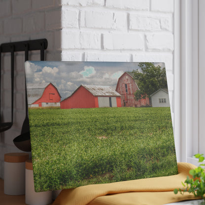 U R There Photography Roadside Trio Rustic Farmhouse Tempered-Glass Cutting Board