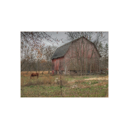 U R There Photography Blair Road Barn and Horse Rustic Farmhouse Decorative Ceramic Tile