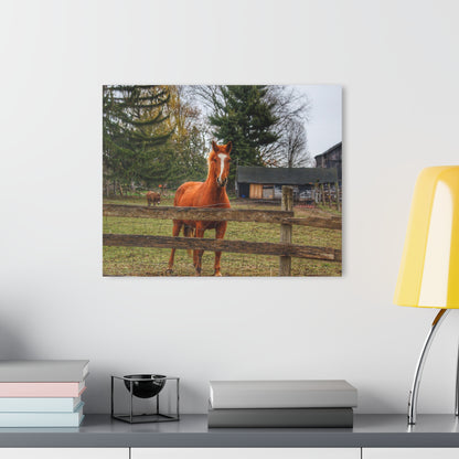 U R There Photography South Summers Road Old Grey and Caramel I Rustic Farmhouse Acrylic Wall Print