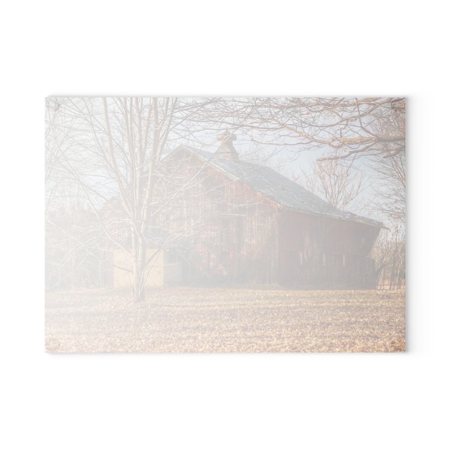 U R There Photography Millington Road Collapsing Red Rustic Farmhouse Tempered-Glass Cutting Board