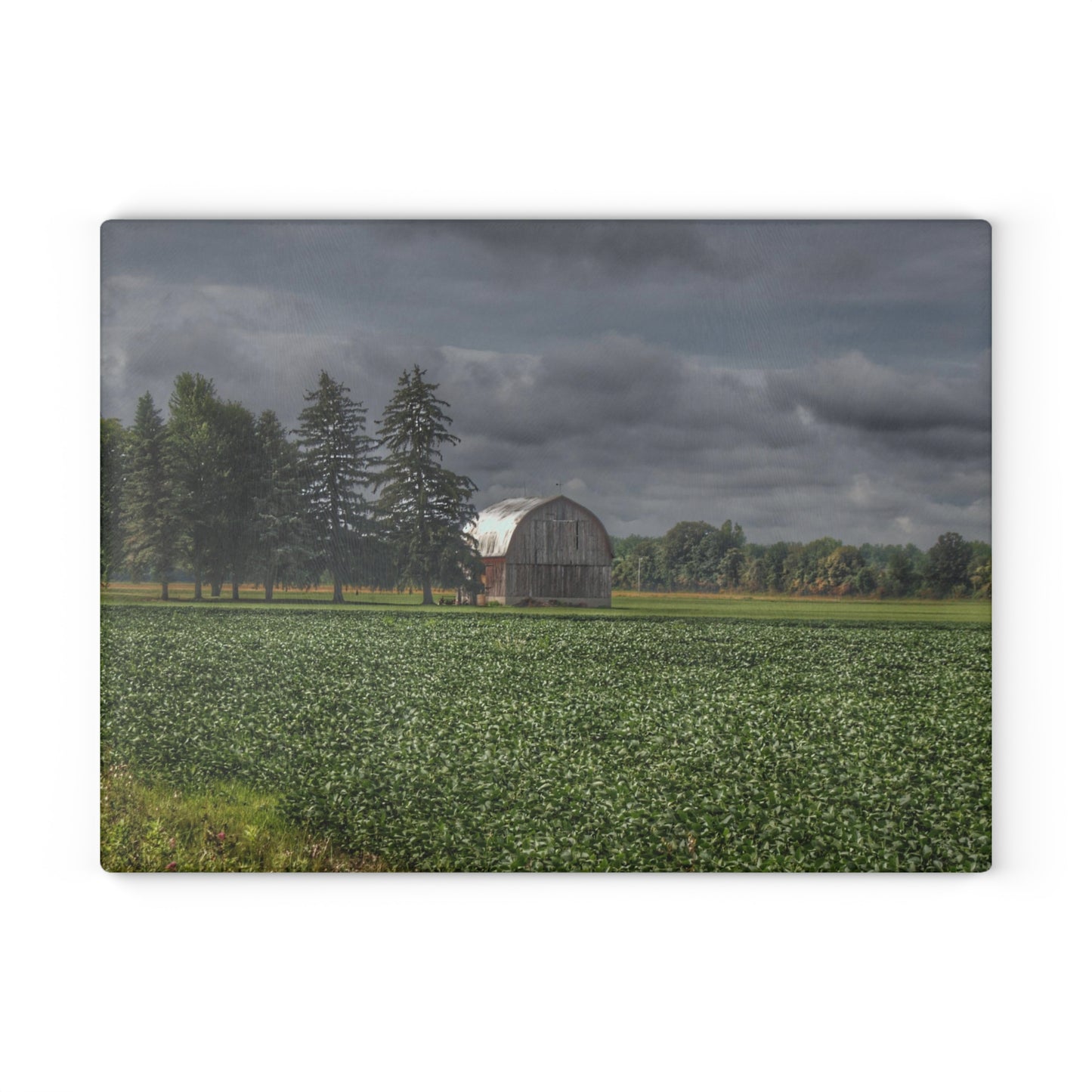U R There Photography Belsay Grey Among the Pines Rustic Farmhouse Tempered-Glass Cutting Board