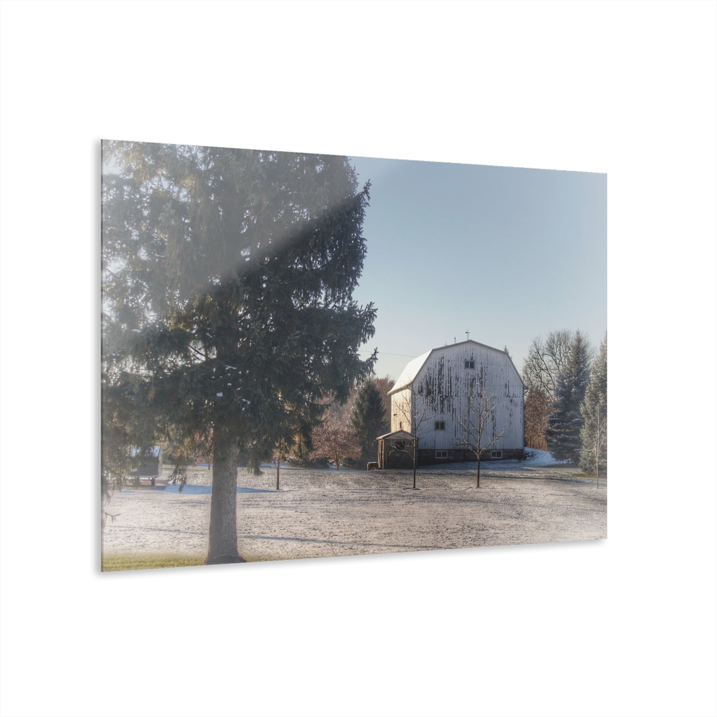 U R There Photography Washburn White Rustic Farmhouse Acrylic Wall Print