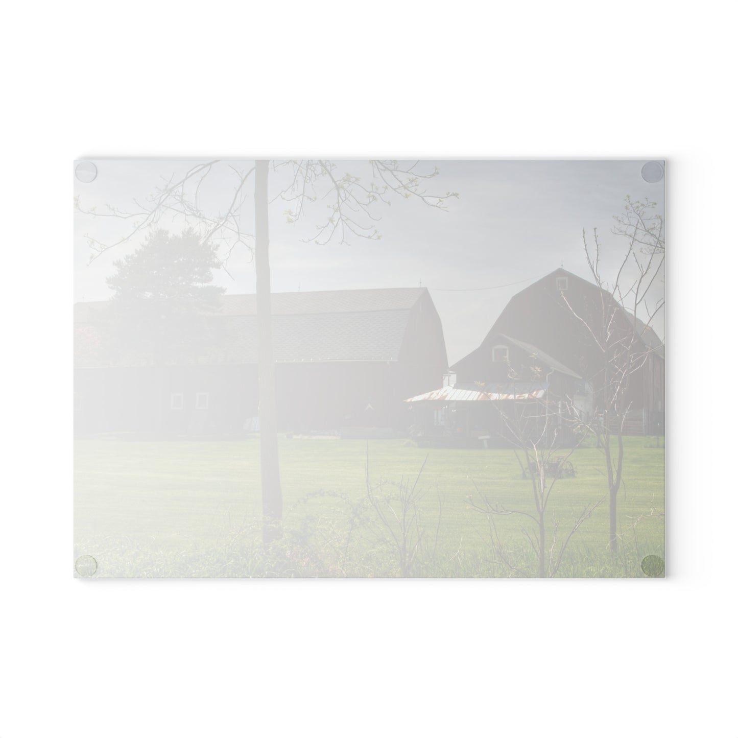 U R There Photography Bishop Road Reds I Rustic Farmhouse Tempered-Glass Cutting Board 8"x 11"