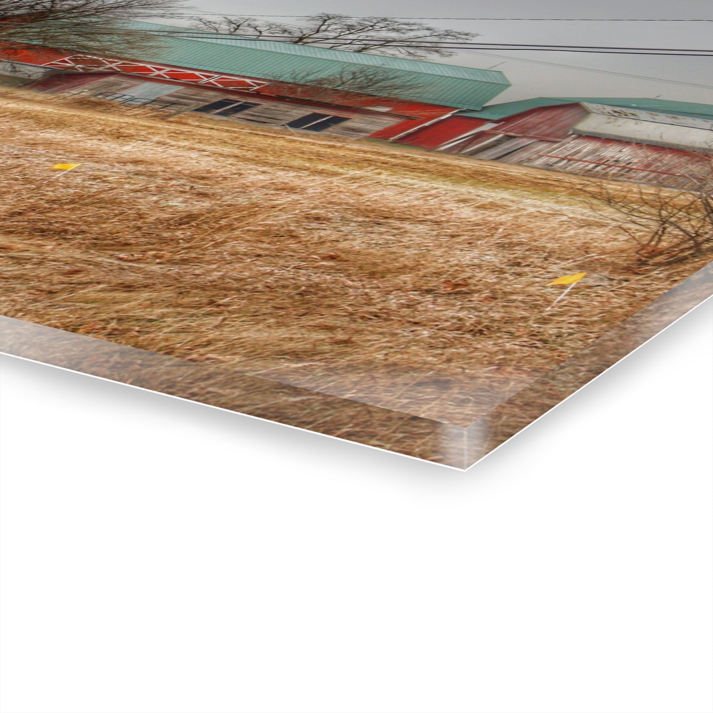 U R There Photography Mound Road Reds and Silo Rustic Farmhouse Acrylic Wall Print