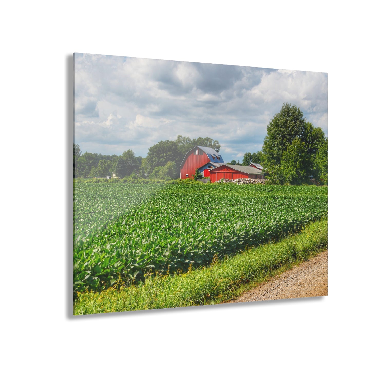 U R There Photography Block Road Reds Rustic Farmhouse Acrylic Wall Print