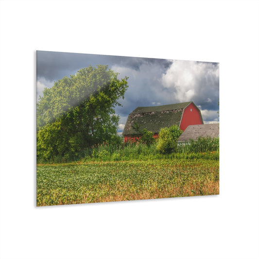 U R There Photography Shelby Red IV Rustic Farmhouse Acrylic Wall Print