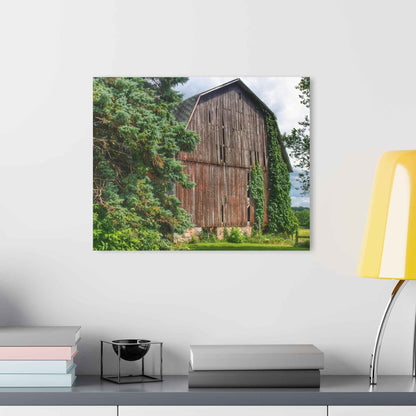 U R There Photography North Branch Ivy Grey I Rustic Farmhouse Acrylic Wall Print