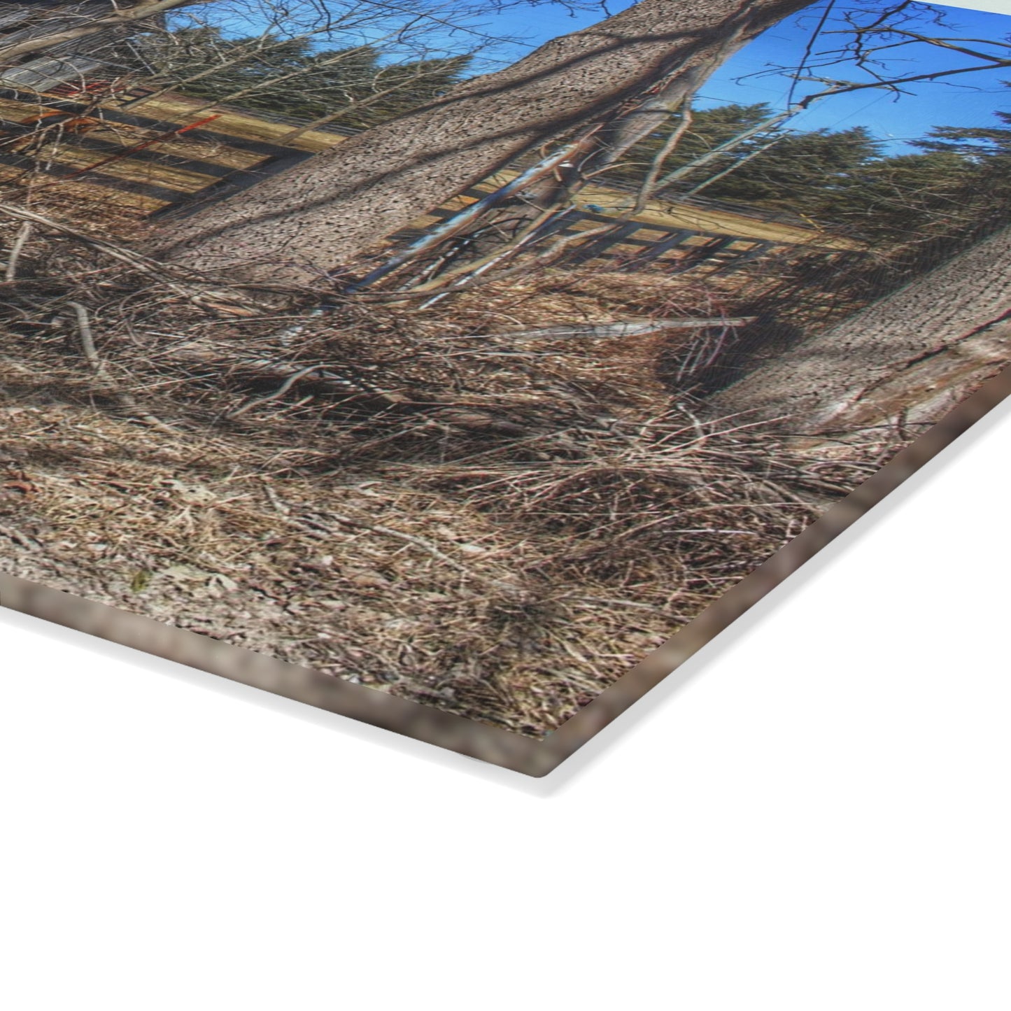U R There Photography Brewer Road Grey Rustic Farmhouse Tempered-Glass Cutting Board