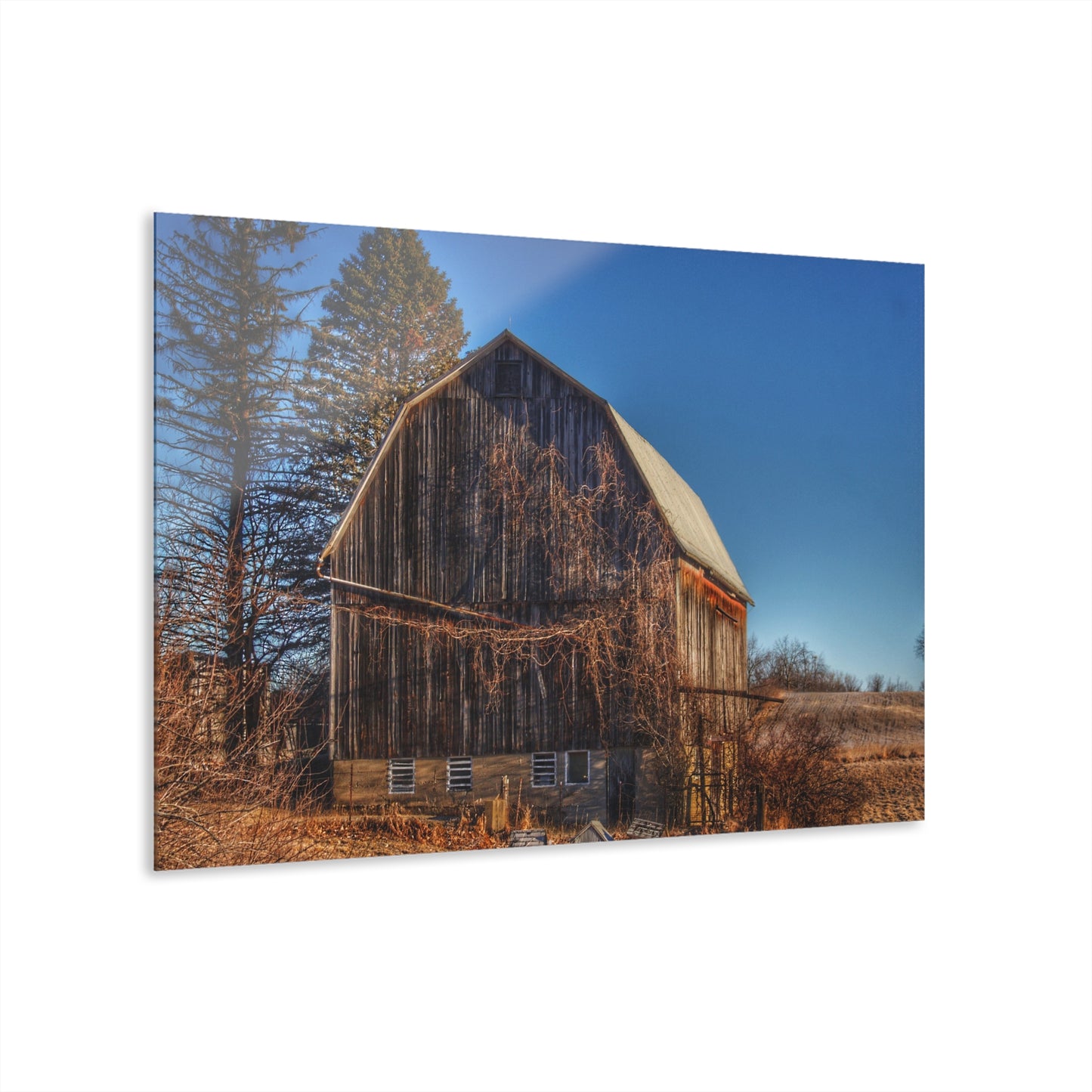 U R There Photography Newark Road Brown Beauty Rustic Farmhouse Acrylic Wall Print
