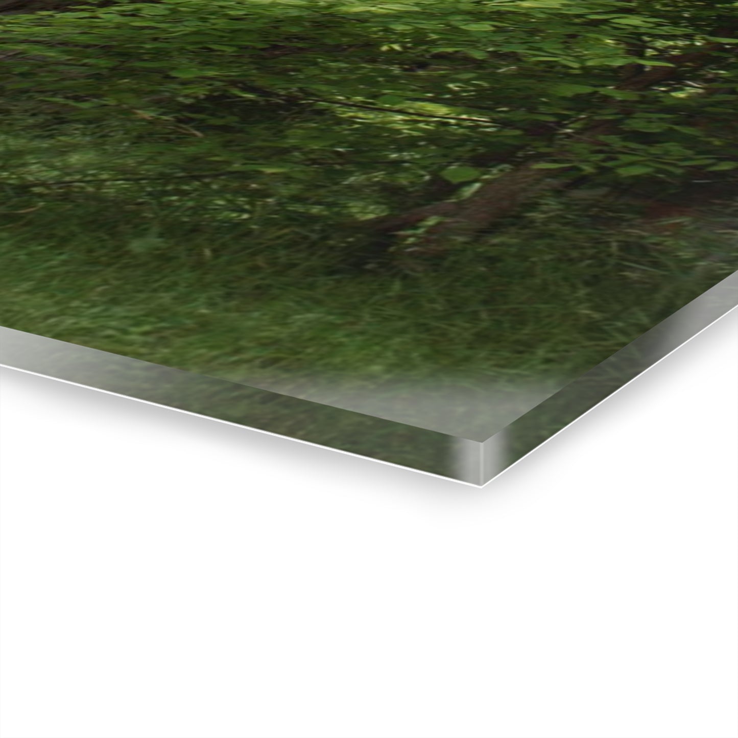 U R There Photography Imlay Hidden Rustic Farmhouse Acrylic Wall Print