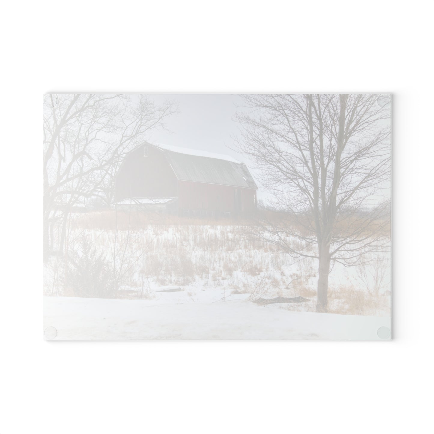 U R There Photography Hadley Red II Rustic Farmhouse Tempered-Glass Cutting Board