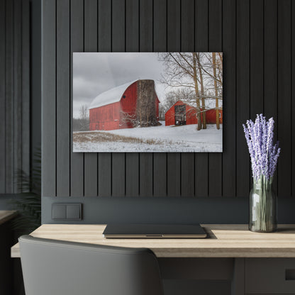 U R There Photography Catlin Reds in Winter I Rustic Farmhouse Acrylic Wall Print