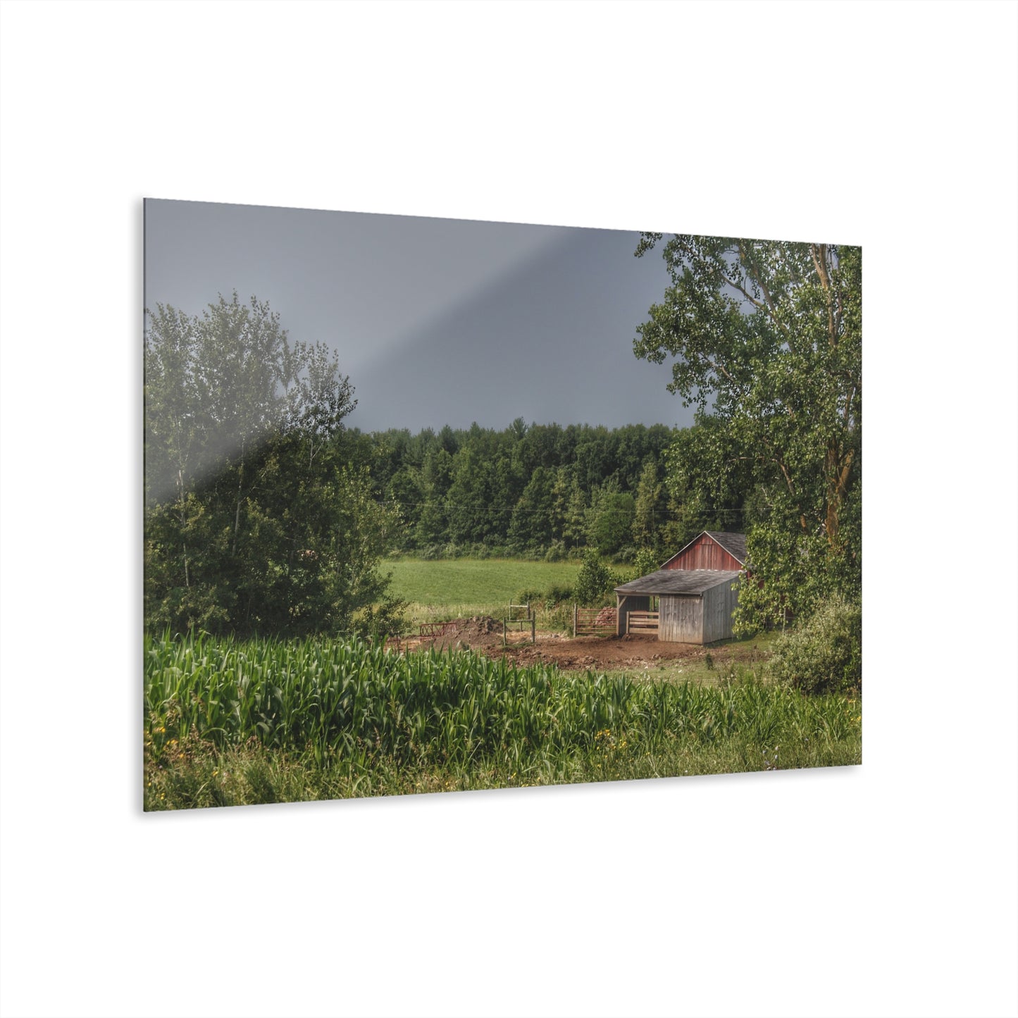 U R There Photography West Oregon Road Hidden Red I Rustic Farmhouse Acrylic Wall Print