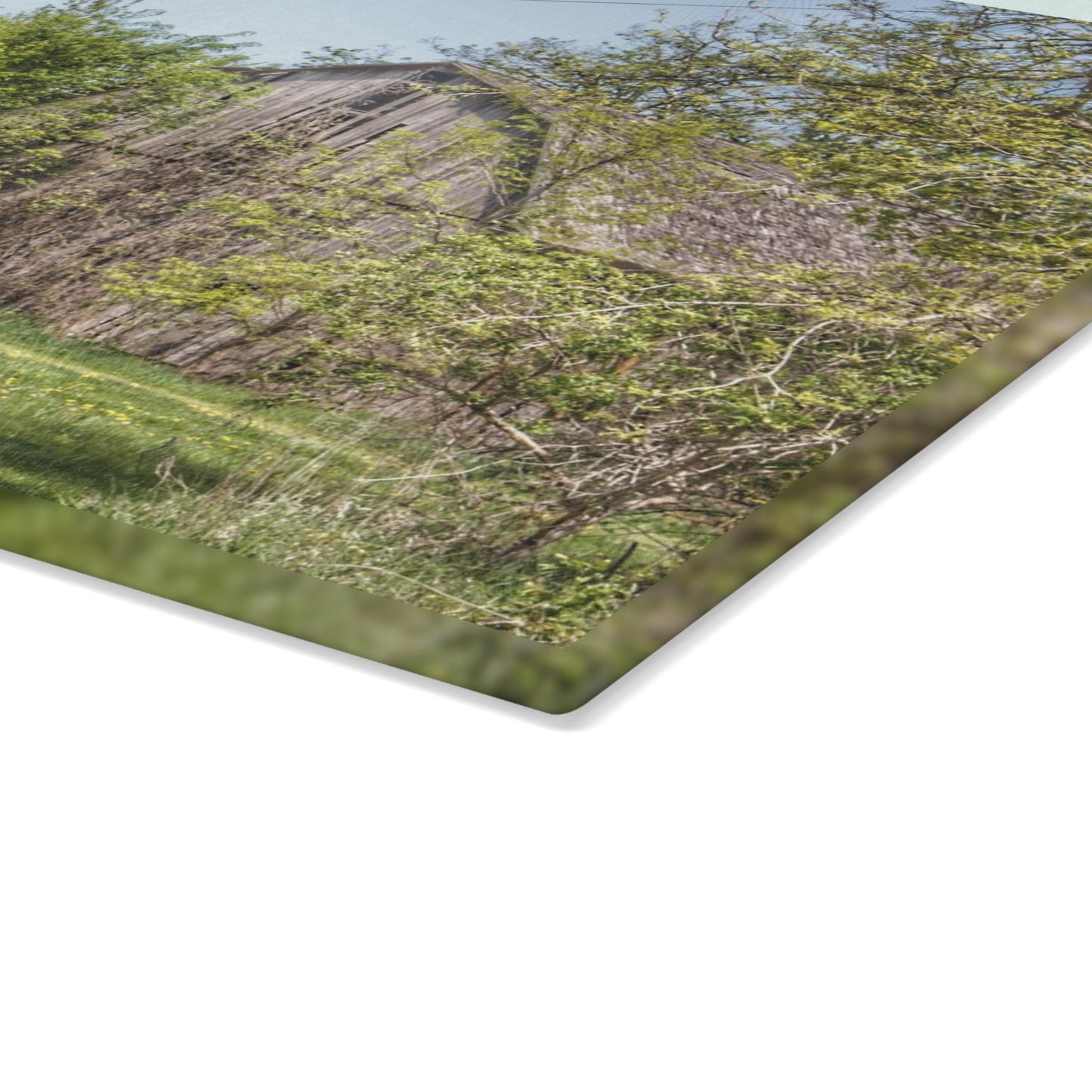 U R There Photography Bishop Road Grey II Rustic Farmhouse Tempered-Glass Cutting Board