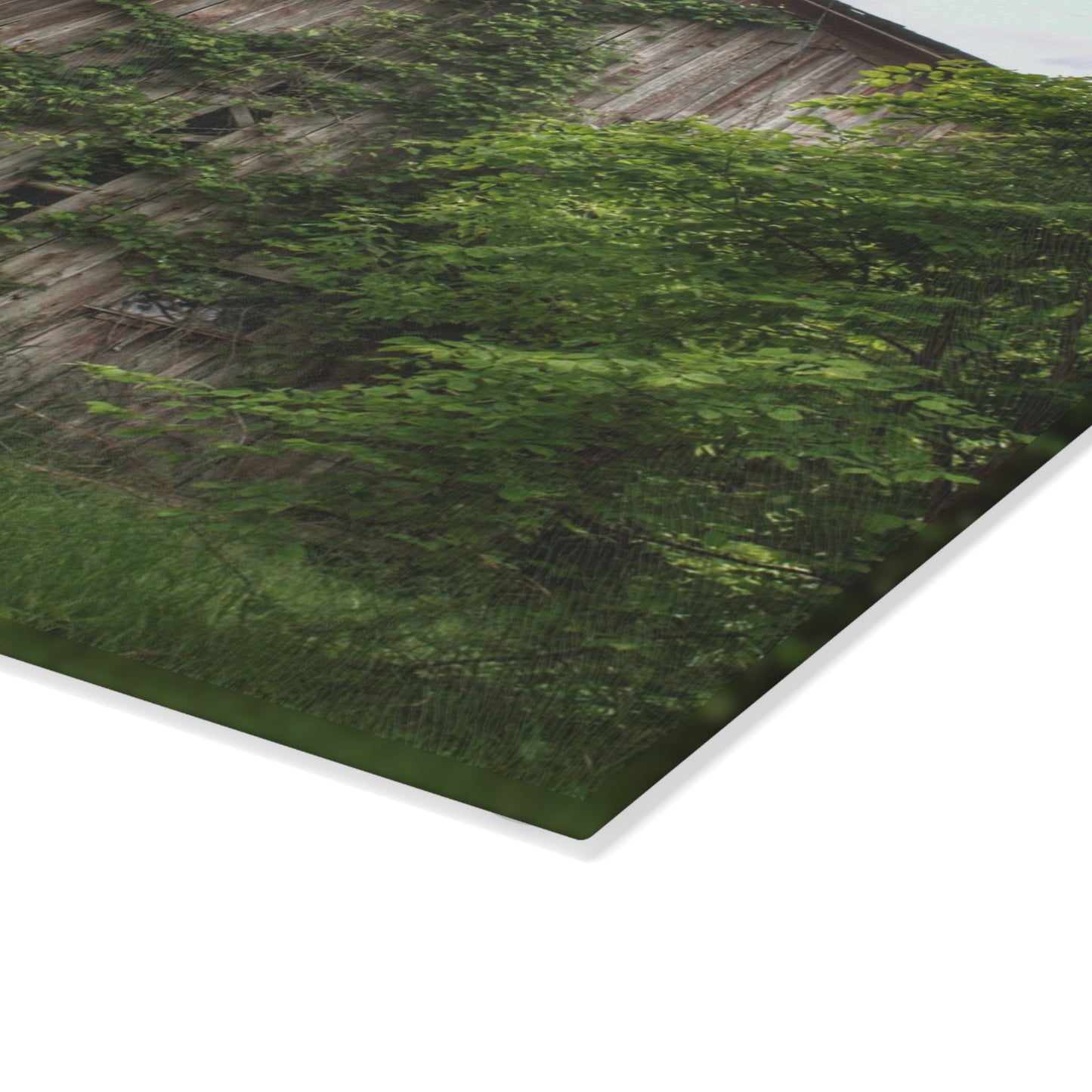 U R There Photography Imlay Hidden Rustic Farmhouse Tempered-Glass Cutting Board