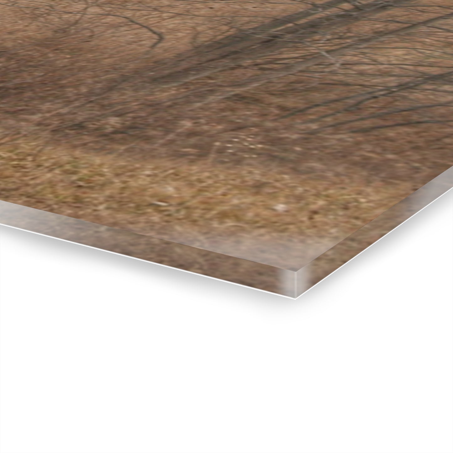 U R There Photography Grey Road Hillside Red I Rustic Farmhouse Acrylic Wall Print