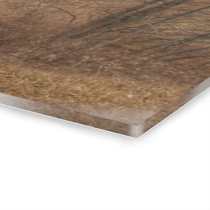 U R There Photography Grey Road Hillside Red I Rustic Farmhouse Acrylic Wall Print