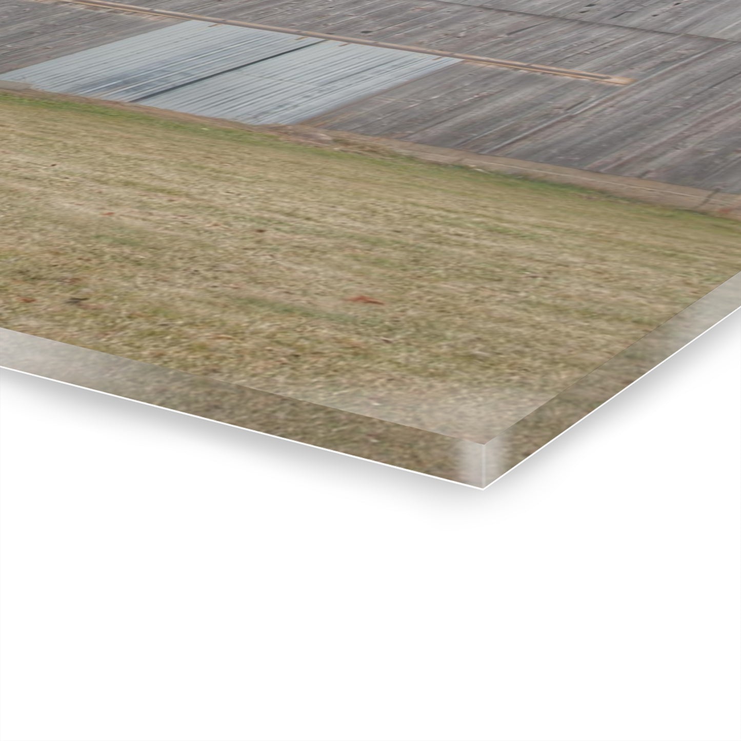 U R There Photography Forest Road Grey Rustic Farmhouse Acrylic Wall Print