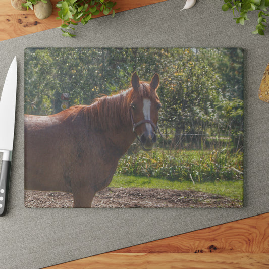 U R There Photography Froede Road Chestnut Brown Rustic Farmhouse Tempered-Glass Cutting Board