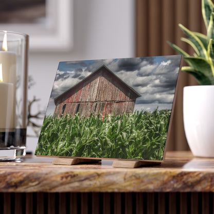 U R There Photography Above the July Corn Rustic Farmhouse Decorative Ceramic Tile