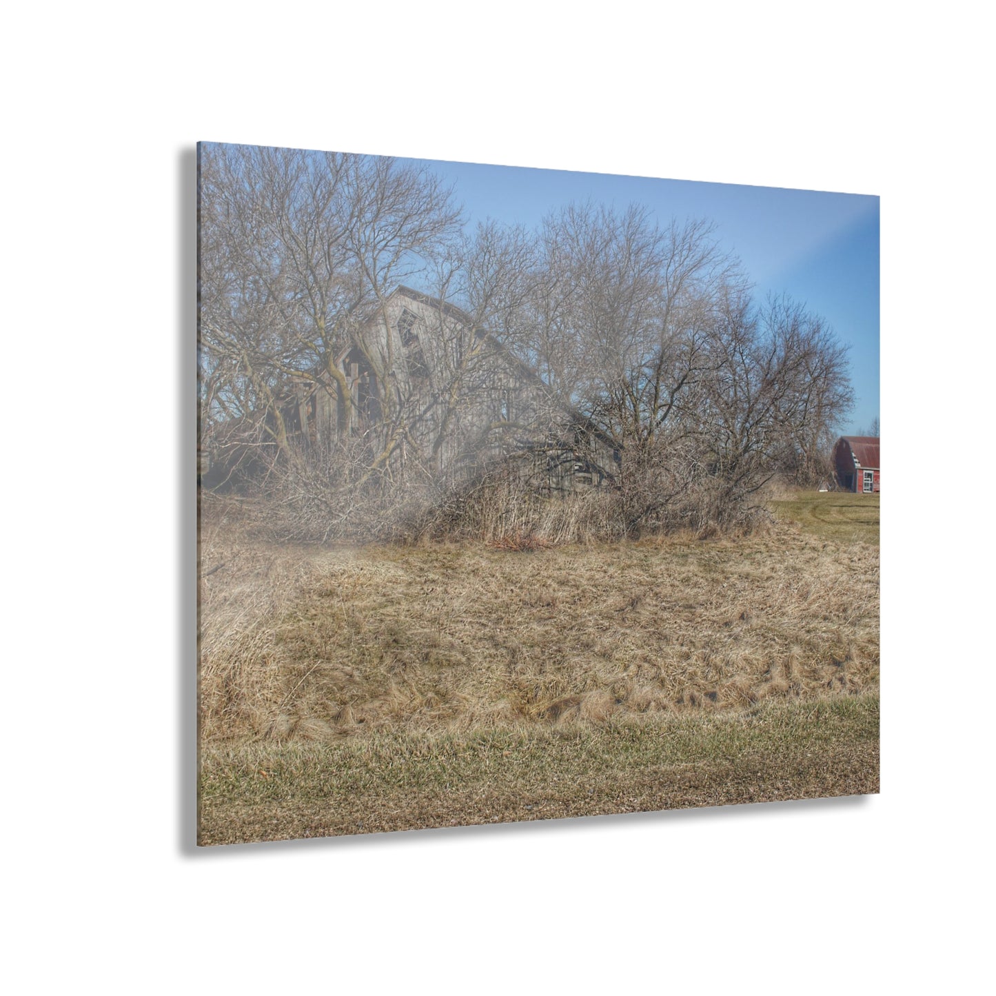 U R There Photography Fargo Road Forgotten Rustic Farmhouse Acrylic Wall Print