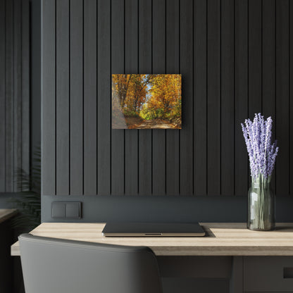 U R There Photography Harson Road in Fall I Rustic Farmhouse Acrylic Wall Print