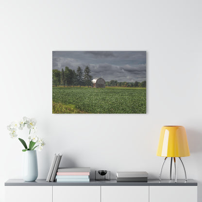 U R There Photography Belsay Grey Among the Pines Rustic Farmhouse Acrylic Wall Print