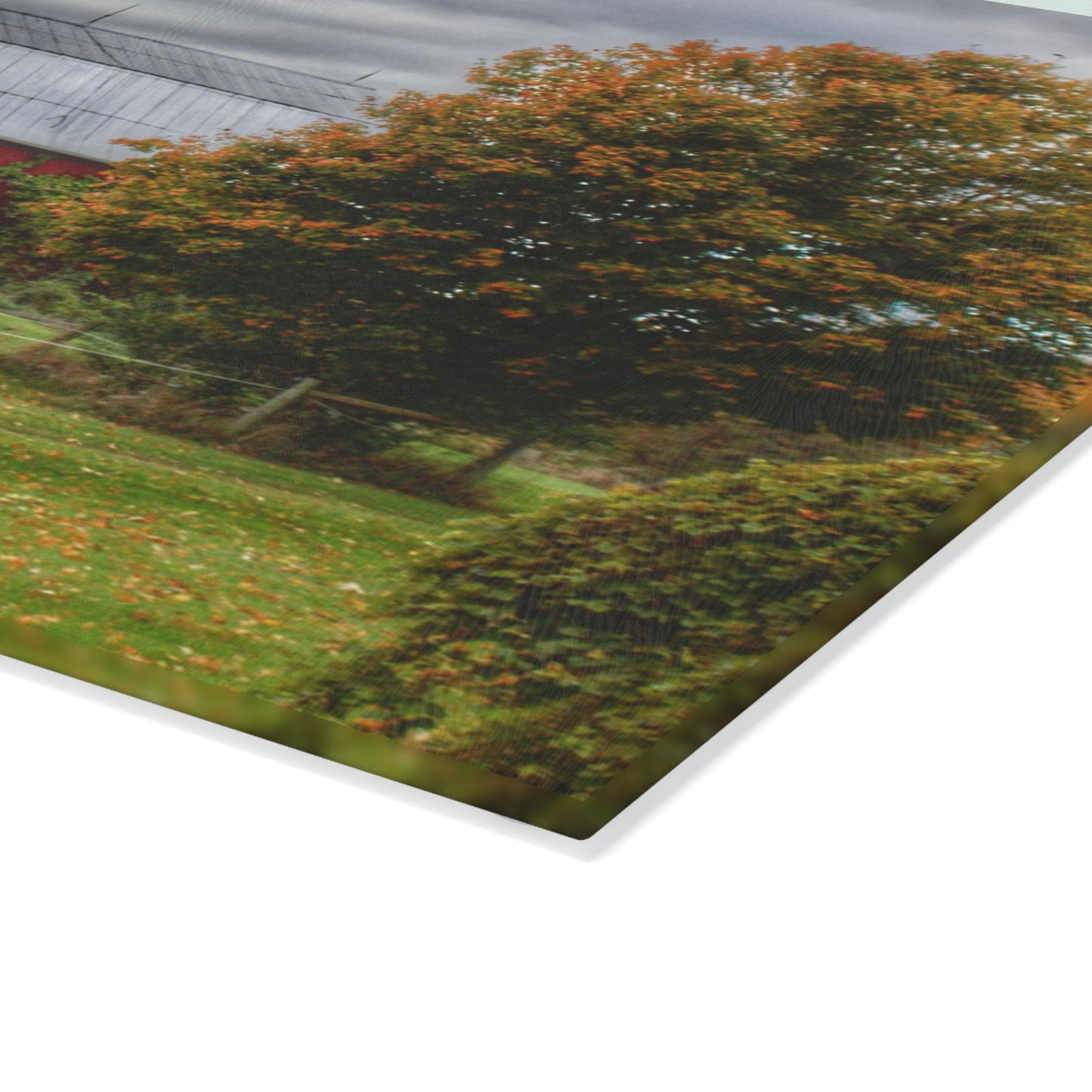U R There Photography Columbiaville Red in Fall II Rustic Farmhouse Tempered-Glass Cutting Board