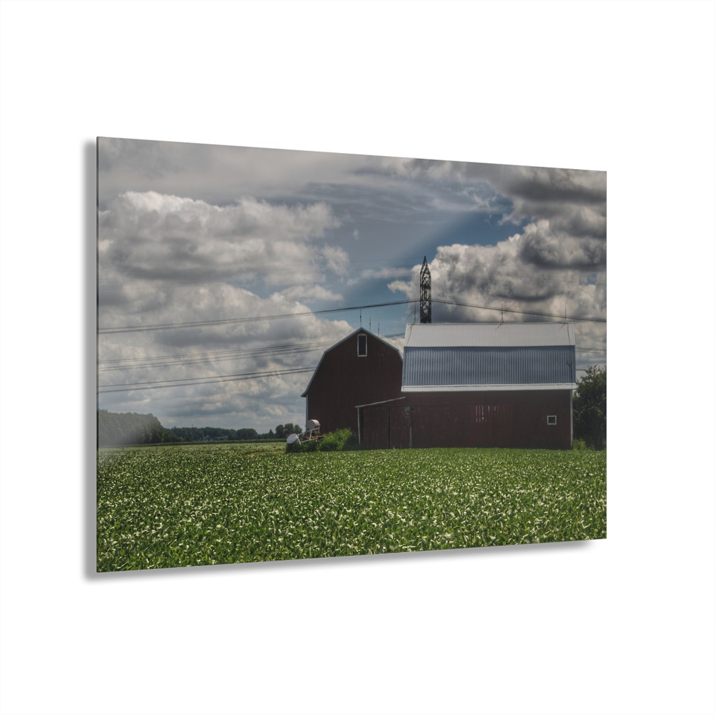 U R There Photography South Reese Road Reds Rustic Farmhouse Acrylic Wall Print