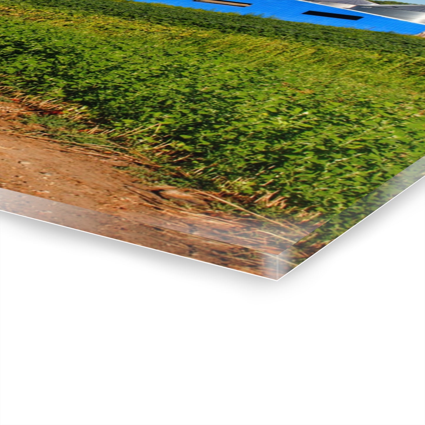 U R There Photography Kidder Road Blues I Rustic Farmhouse Acrylic Wall Print