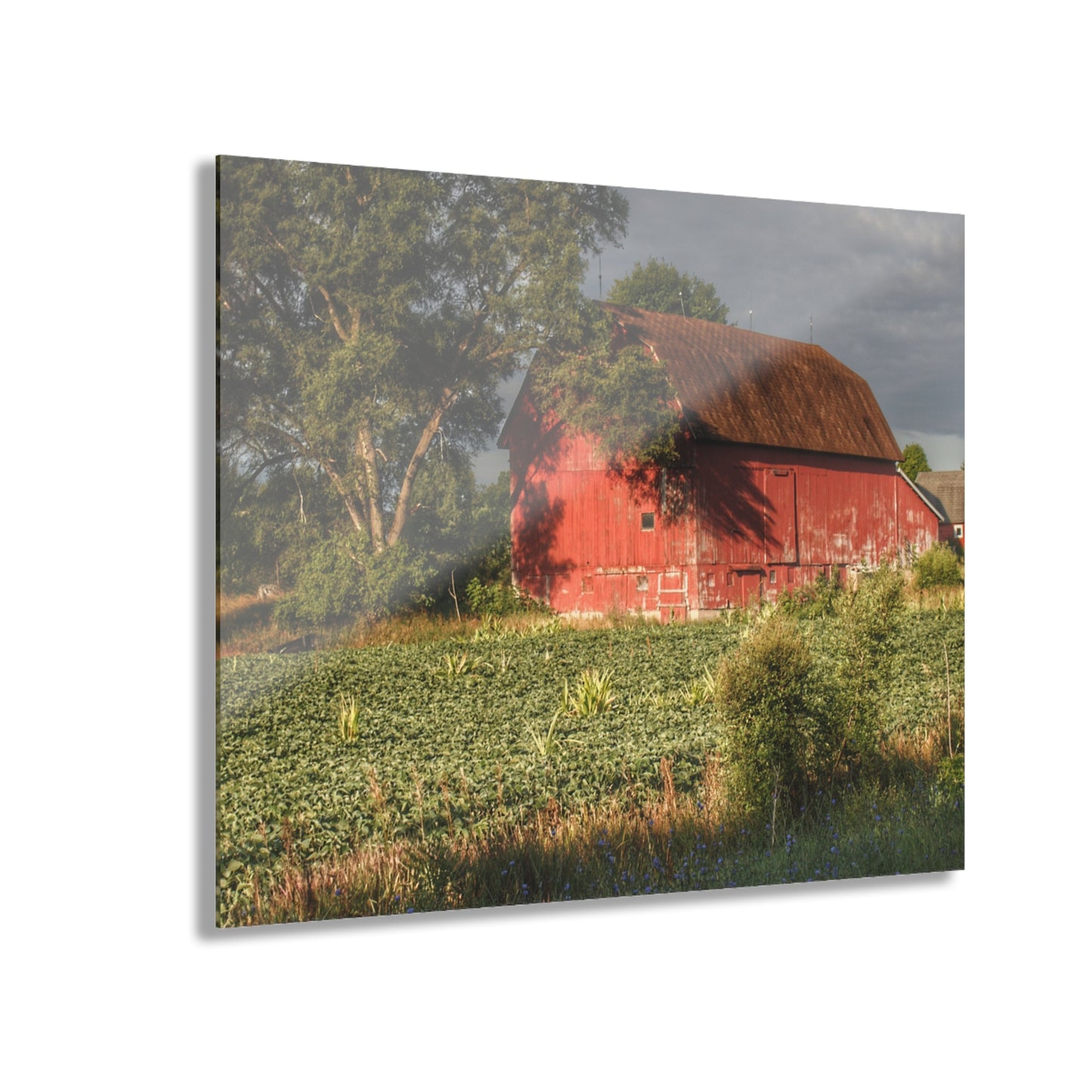 U R There Photography Genesee Road Red II Rustic Farmhouse Acrylic Wall Print