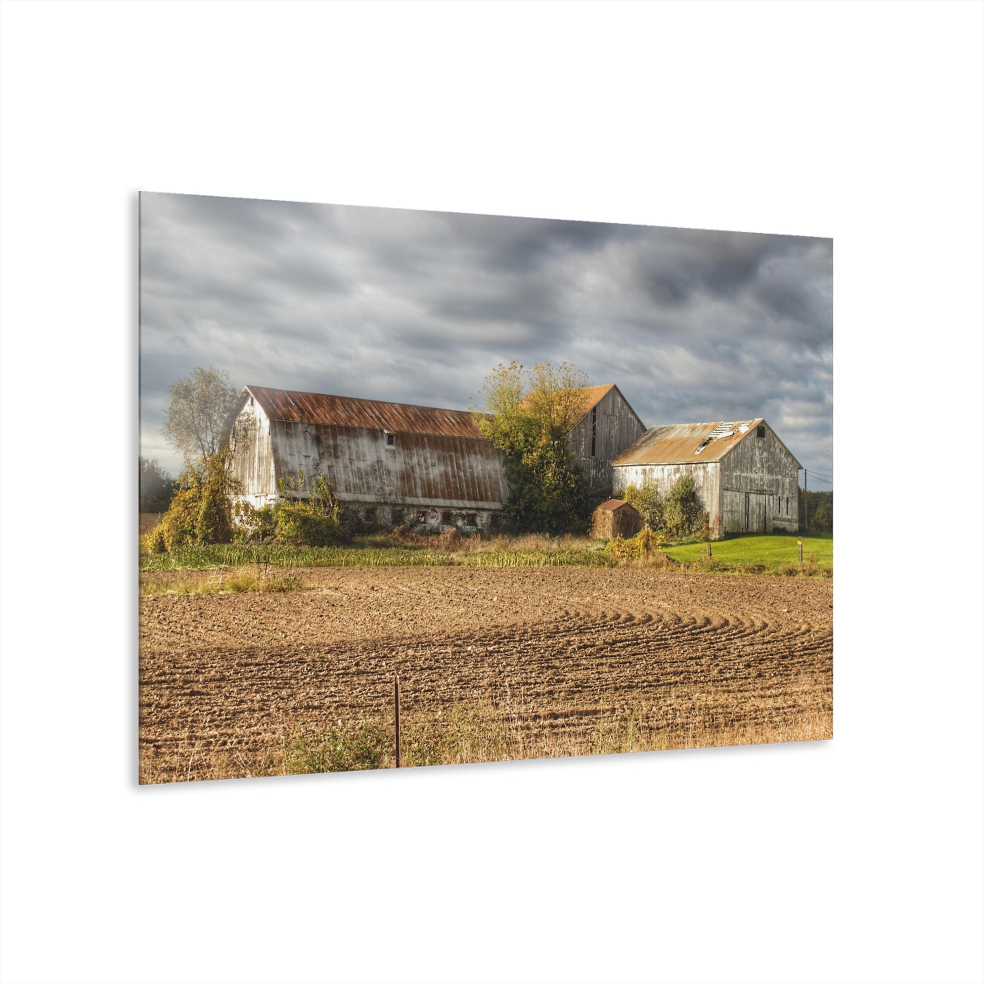 Newark Road Whites Rustic Farmhouse Acrylic Wall Print