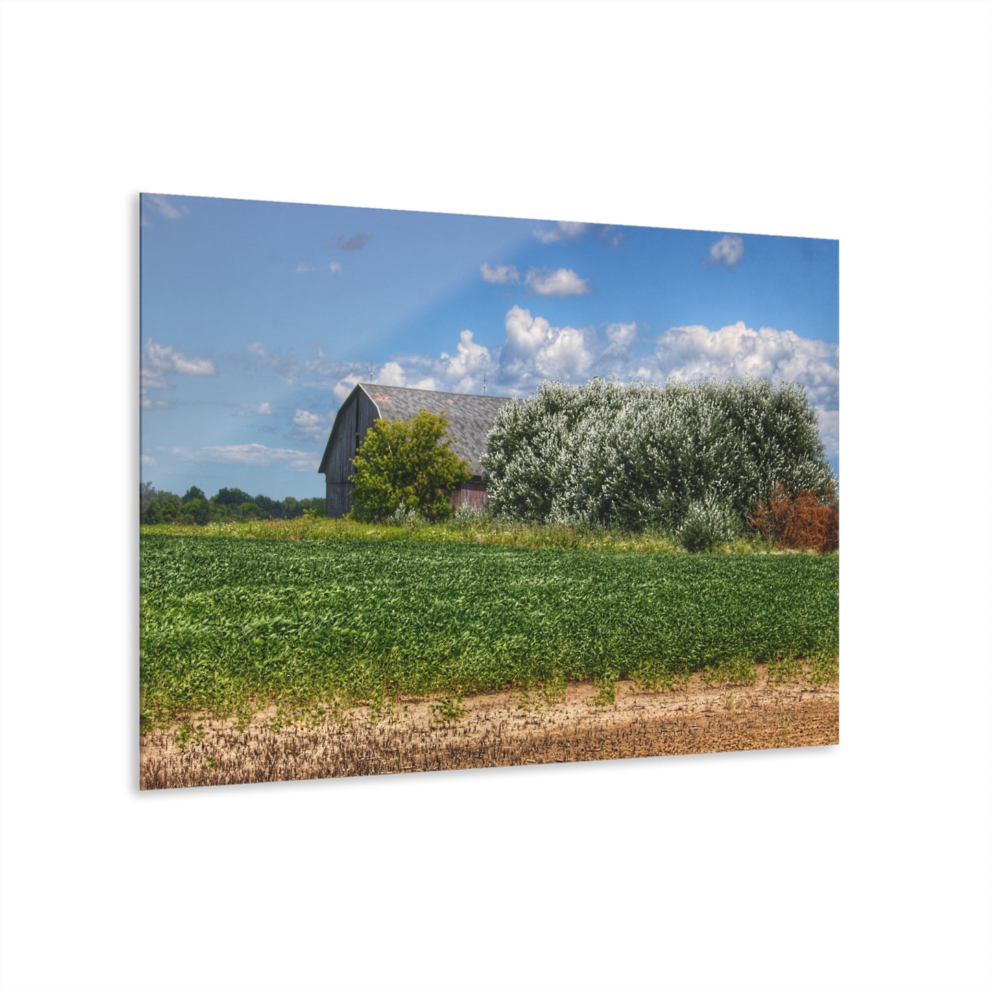 U R There Photography Lake Road Grey Rustic Farmhouse Acrylic Wall Print