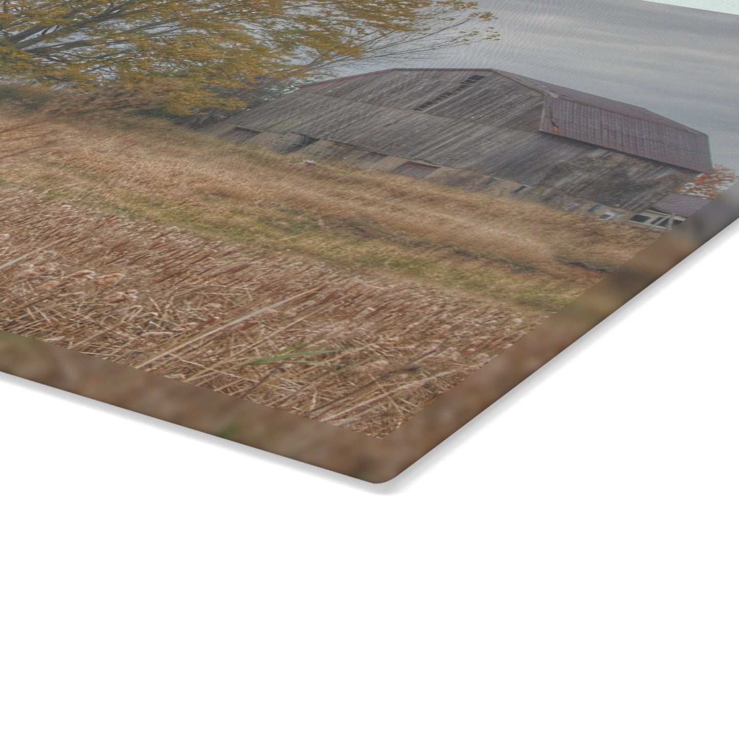 U R There Photography Swaffer Road Hilltop Grey Rustic Farmhouse Tempered-Glass Cutting Board