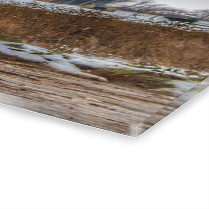 U R There Photography Noble Road Blue Cow Barn Rustic Farmhouse Acrylic Wall Print