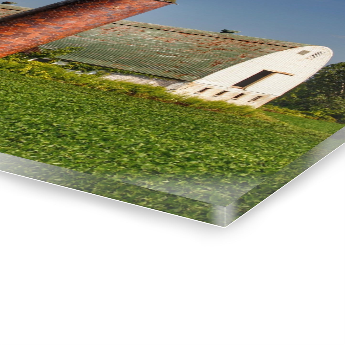 U R There Photography Elba White and Silo Rustic Farmhouse Acrylic Wall Print