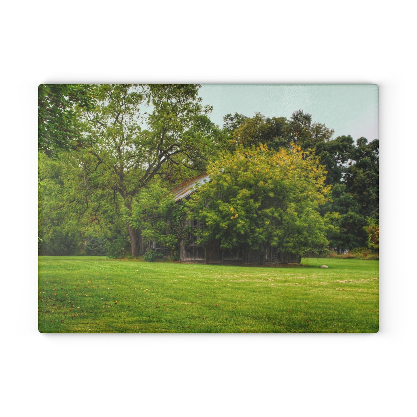 U R There Photography Hidden Past I Rustic Farmhouse Tempered-Glass Cutting Board