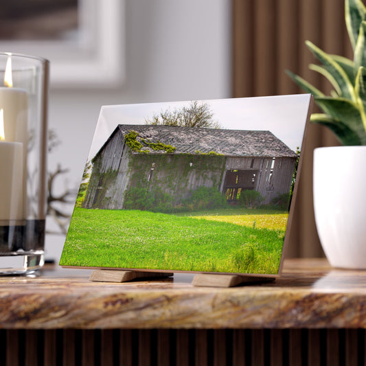 U R There Photography Caro Road Twin Grey II Rustic Farmhouse Decorative Ceramic Tile