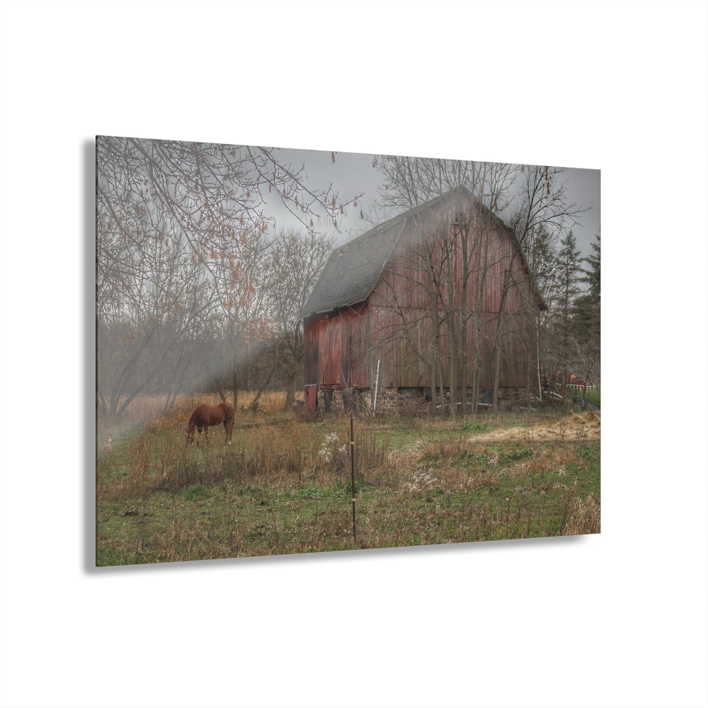 U R There Photography Blair Road Barn and Horse Rustic Farmhouse Acrylic Wall Print