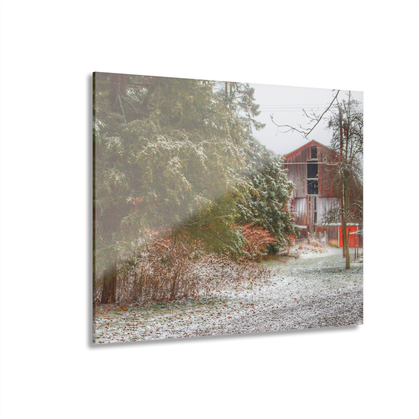 U R There Photography Lum Hidden Red Rustic Farmhouse Acrylic Wall Print