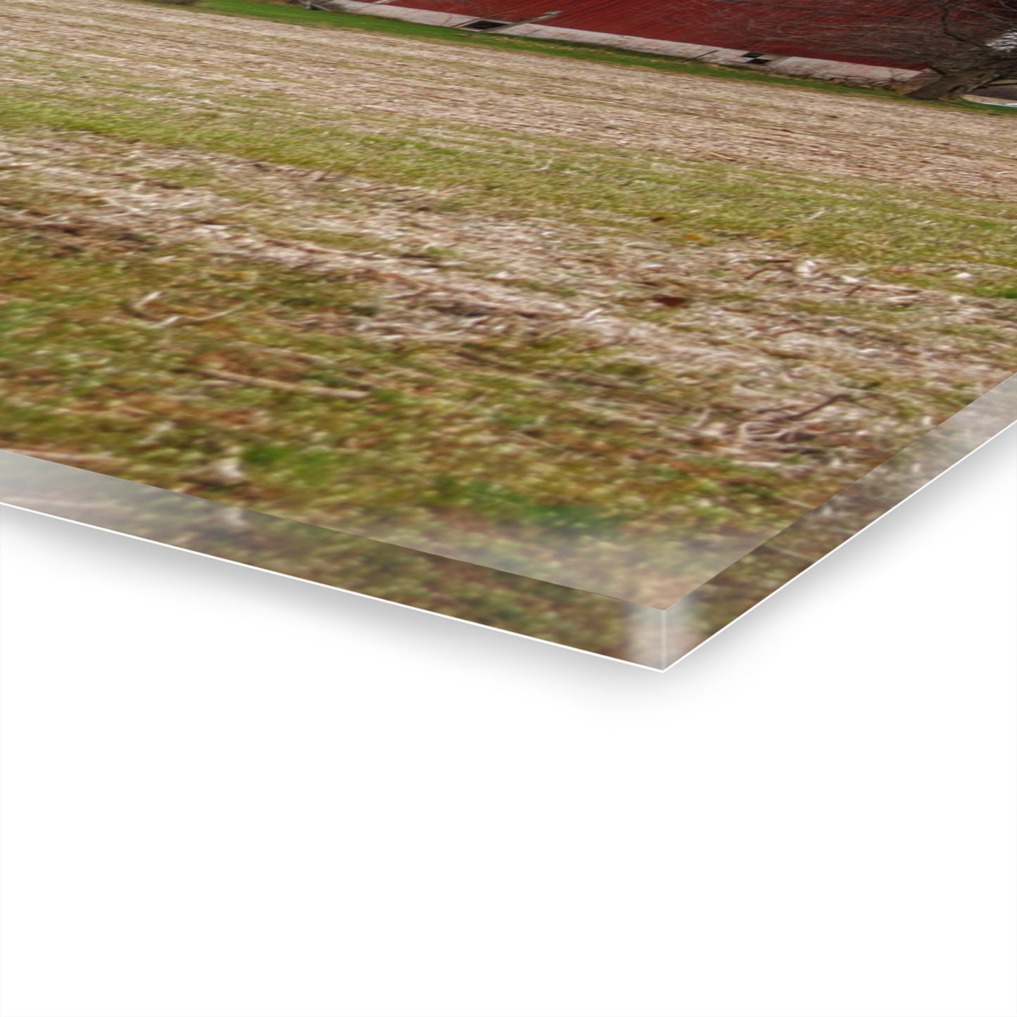 U R There Photography Hidden Millington Road Red Rustic Farmhouse Acrylic Wall Print