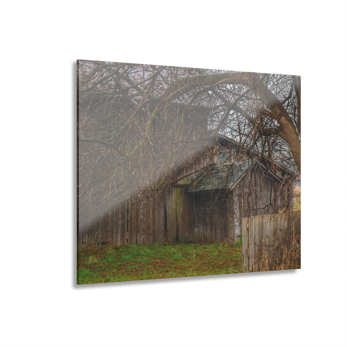 U R There Photography Bowers Road Greys III Rustic Farmhouse Acrylic Wall Print