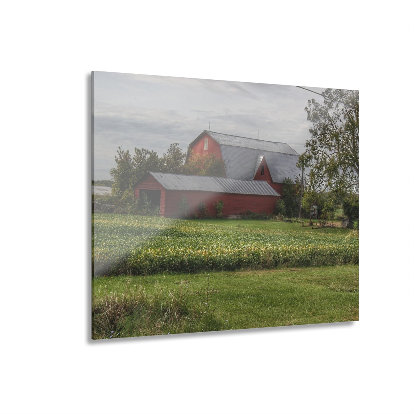 U R There Photography West Dodge Road Reds Rustic Farmhouse Acrylic Wall Print