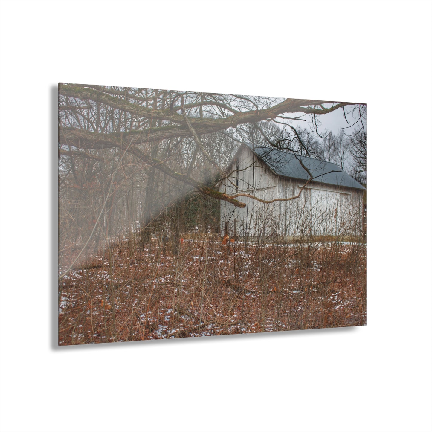 U R There Photography Norway Lake Hidden White Rustic Farmhouse Acrylic Wall Print