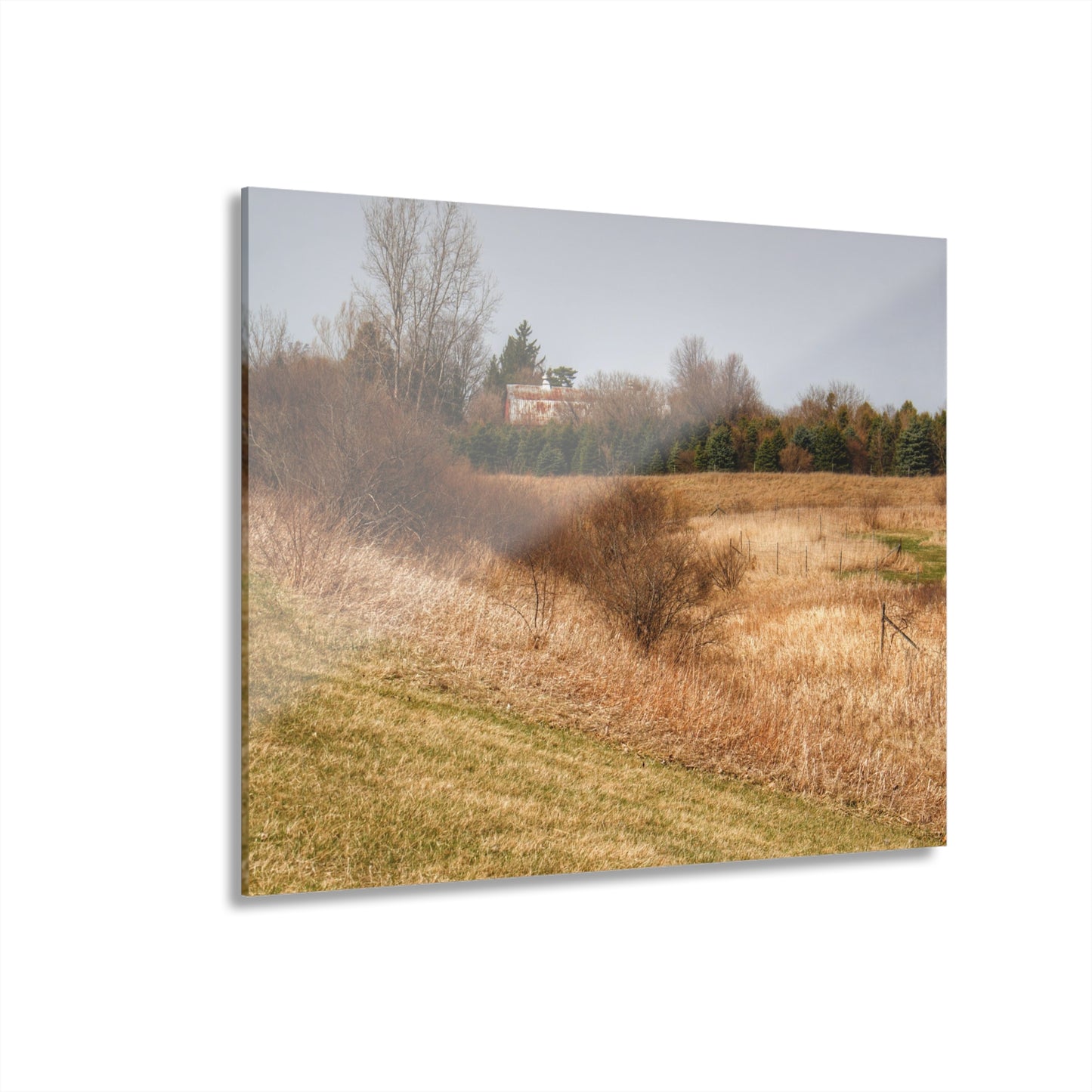 U R There Photography Beyond the Short Pines Rustic Farmhouse Acrylic Wall Print