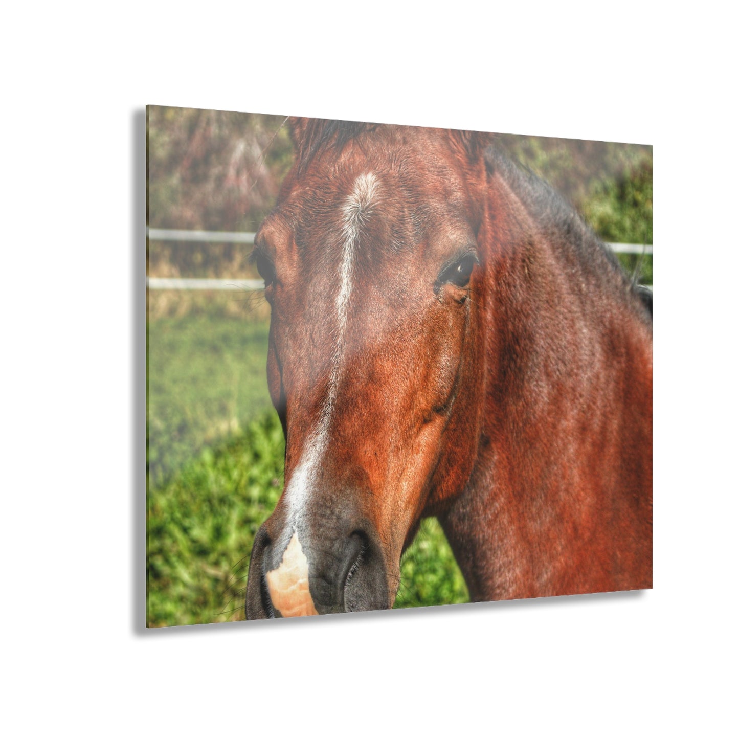 Rustic Farmhouse Wall Print Featuring Irish Road Brownie