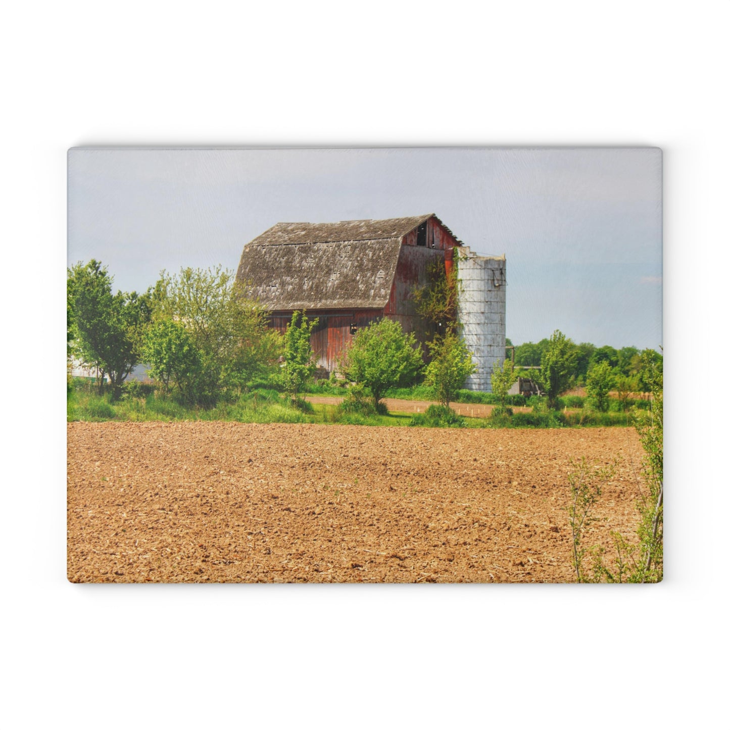 U R There Photography Colwood Road Old Red Rustic Farmhouse Tempered-Glass Cutting Board