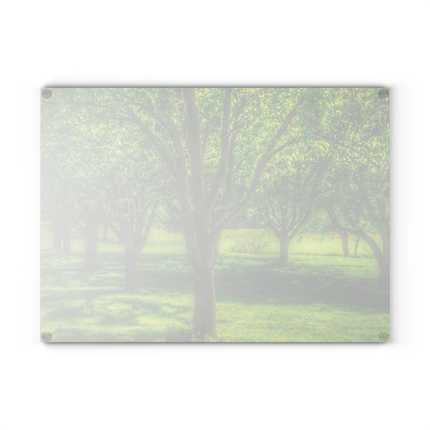 U R There Photography Spring Trees in Chartreuse Rustic Farmhouse Tempered-Glass Cutting Board