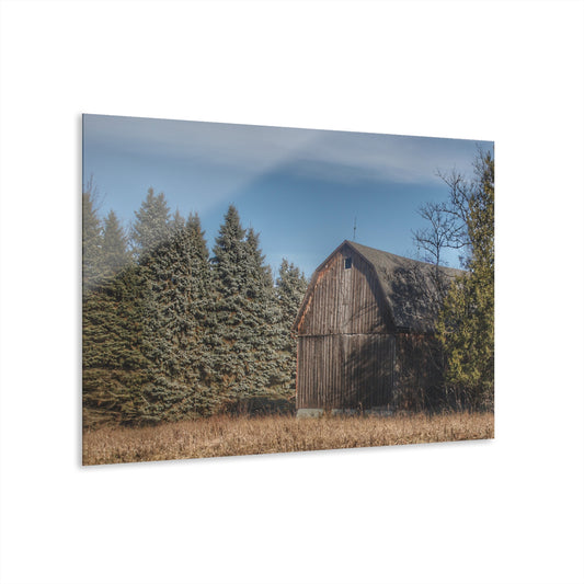 U R There Photography Washburn Old Grey Rustic Farmhouse Acrylic Wall Print